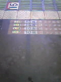 (�M�ށL�U