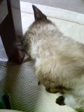 (untitled)
