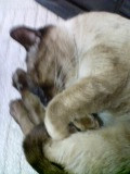 (untitled)