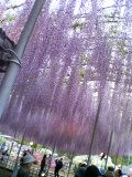 (untitled)