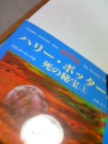 (untitled)